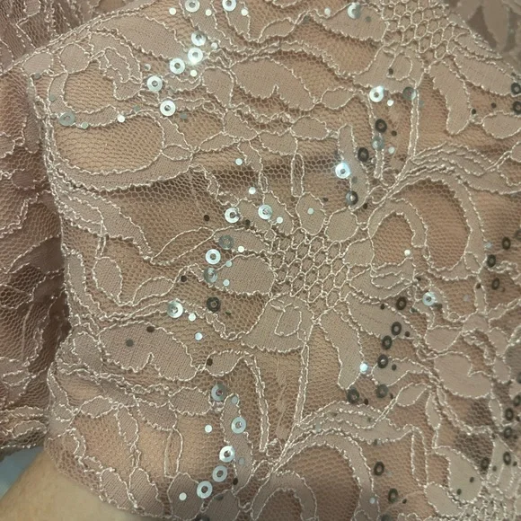 Elegant Lace Sequin Dress in Blush Pink ๐ - Picture 4 of 14